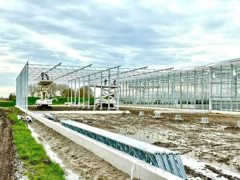 Project North Holland