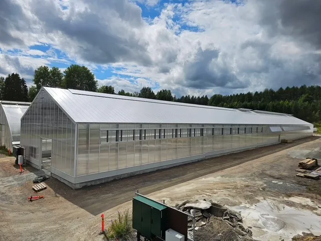 Project Finland