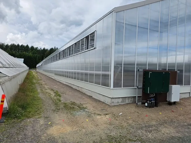 Project Finland